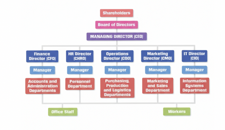 Company Org Chart — Shareholders to Departments